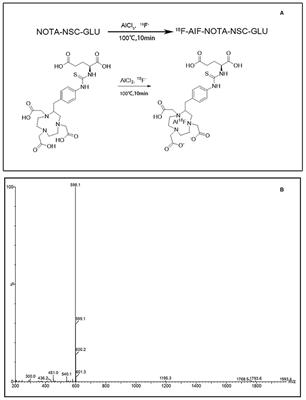 Biological Evaluation of [18F]AlF-NOTA-NSC-GLU as a Positron Emission Tomography Tracer for Hepatocellular Carcinoma